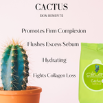 Cactus Makeup Remover Wipes